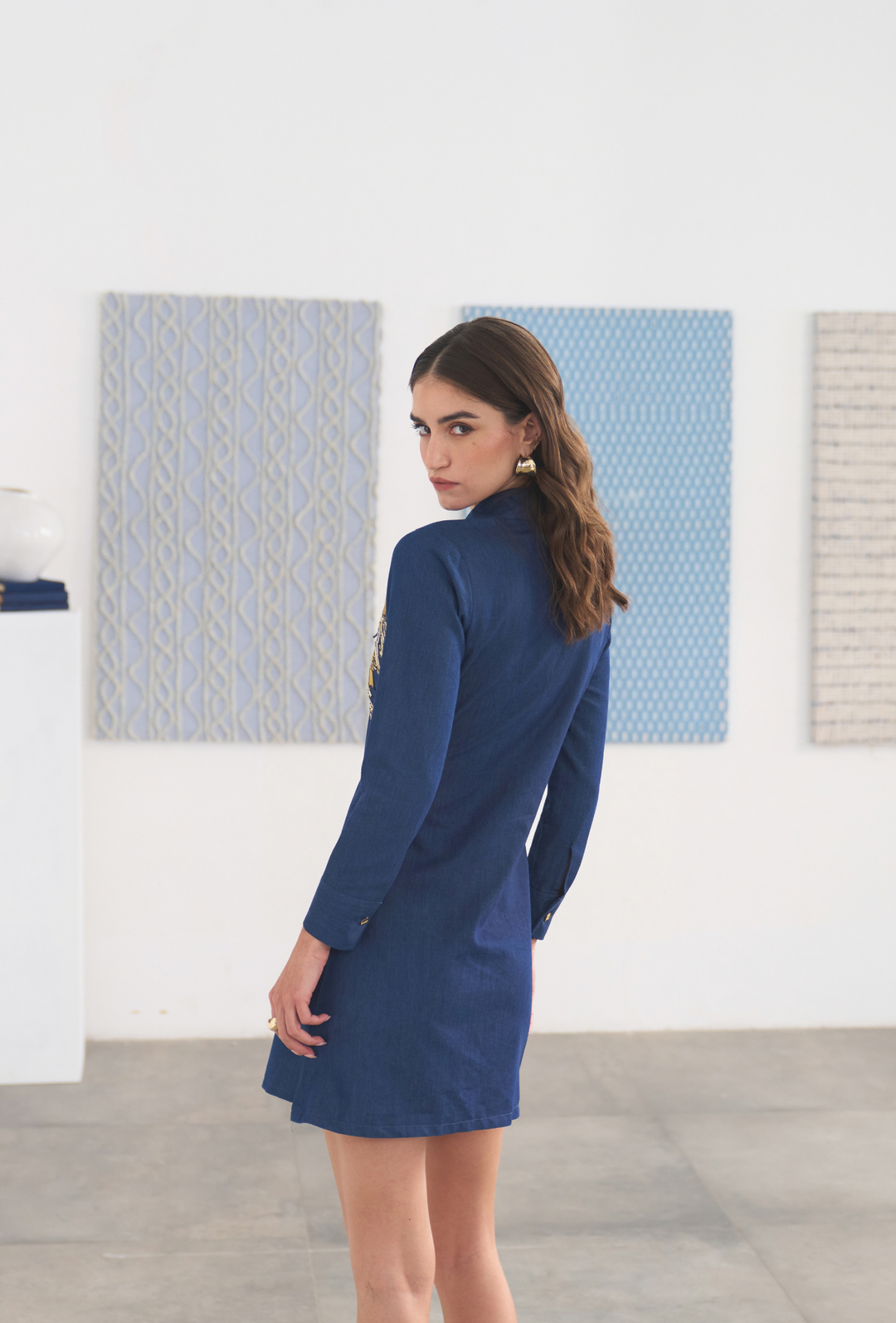 IN THE FRAME DRESS