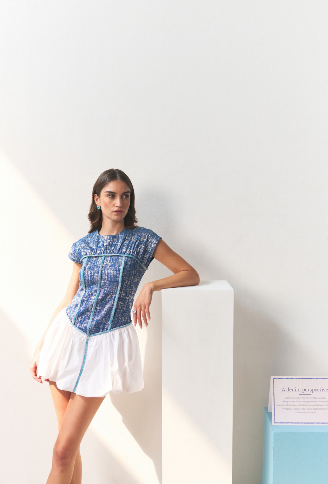 THE PORTRAIT DRESS
